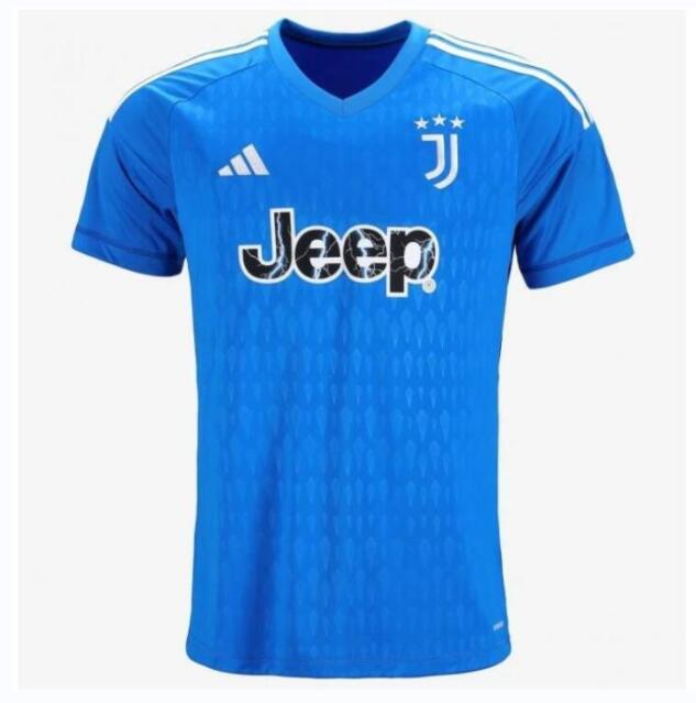 Juventus Goalkeeper Kit Blue Soccer Jersey 2023/24